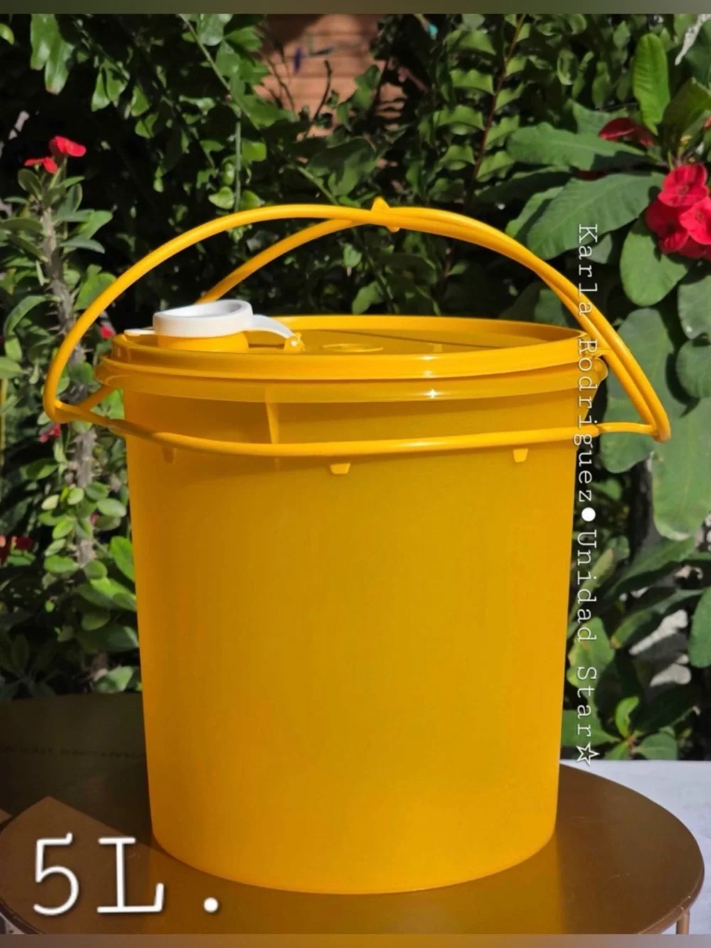 Tupperware Bucket/Container 5L - Picture 1 of 1